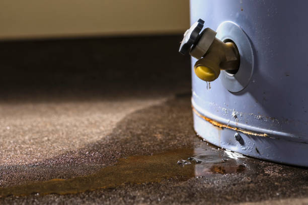 Best Residential water damage restoration  in Star Valley Ranch, WY