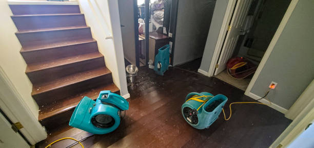 Best Residential water damage restoration  in Star Valley Ranch, WY