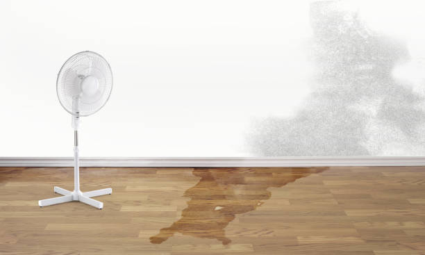 Best Local water damage restoration  in Star Valley Ranch, WY
