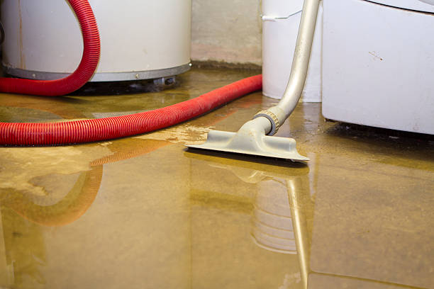 Best Sewage cleanup and water damage restoration  in Star Valley Ranch, WY