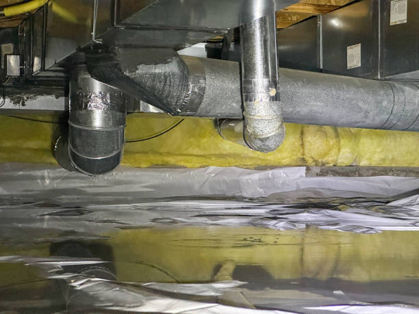Best 24/7 water damage repair  in Star Valley Ranch, WY